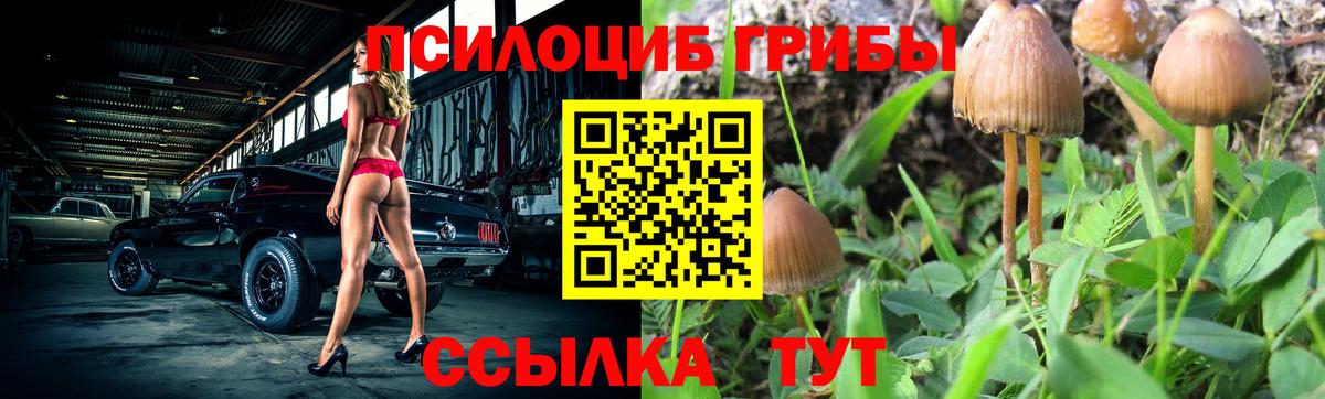 Псилоцибиновые грибы ЛСД Унеча